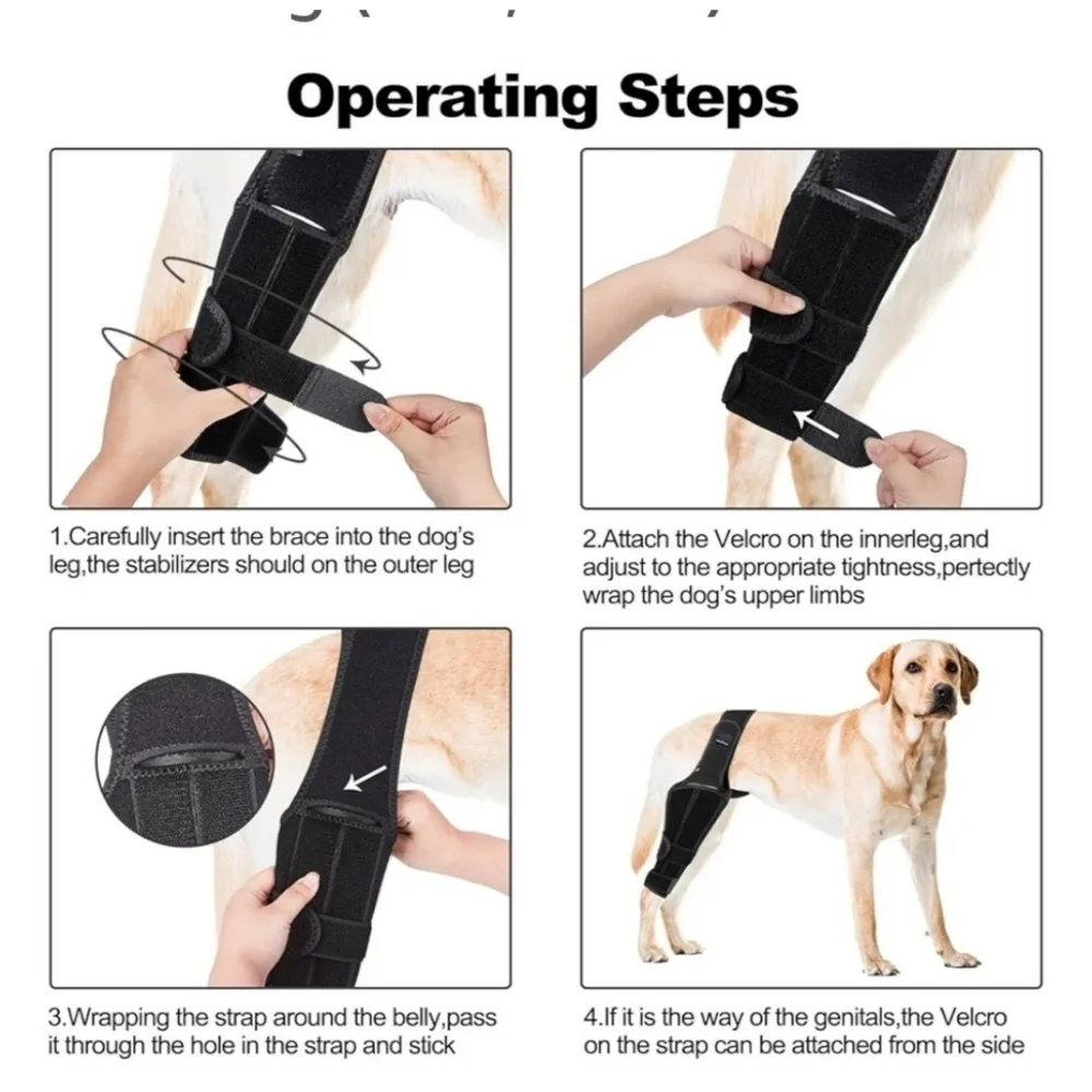 Foxlvda Dog Knee Brace Back Right Leg Size M